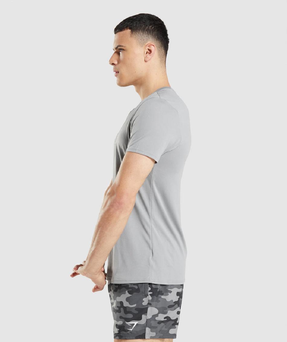 T Shirts Męskie Gymshark Arrival Grafiką Szare | PL 3899DFM